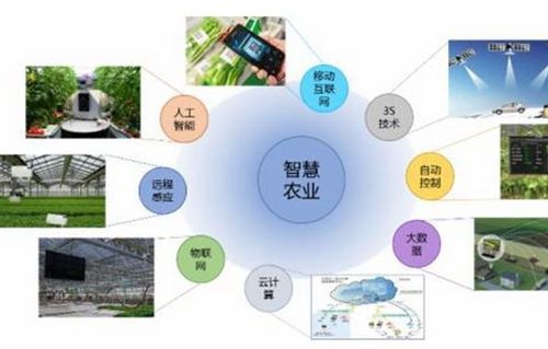 博亚体育app